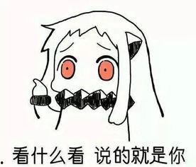 淑女来了表情包,揭秘网络表情包的魅力与流行